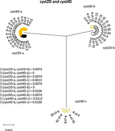 Molecular Phylogenetic Analysis Of The Combined Nucleotide Sequences Of