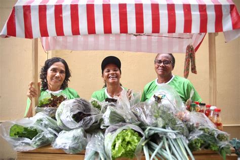 Moradores De Cidades Da Mata Sul Ganham Quintais Ecoprodutivos Para