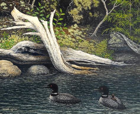 Loons On Saranac Lake Painting By Michael Winston Fine Art America