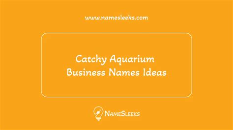 Catchy Aquarium Business Names Ideas NameSleeks