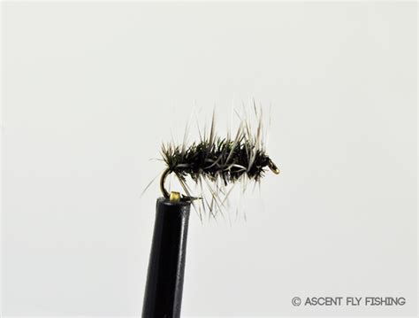 Griffiths Gnat Ascent Fly Fishing