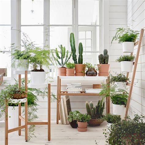 Indoor Gardening Range By Ikea Elle Decoration Uk Ikea Plants