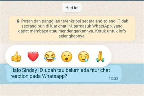 Cara Memberi Reaction Di Whatsapp Fitur Baru 2022 Sinday ID