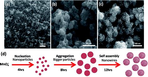 Morphology And Phase Tuning Of α And β Mno2 Nanocacti Evolved At