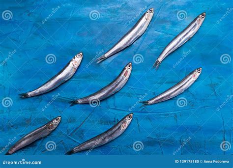 Fish Pattern Anchovies Are Swimming On A Blue Sea Background Stock