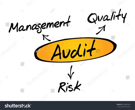 Audit Diagram Process Business Concept Stock Vector Royalty Free