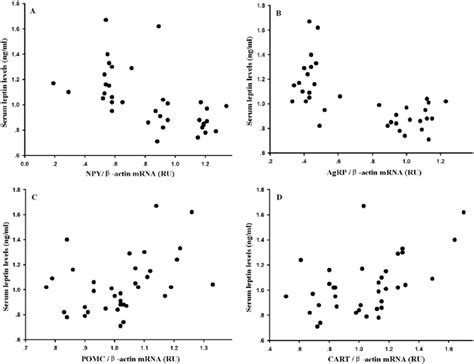 Correlation Of A Neuropeptide Y NPY B Agouti Related Protein