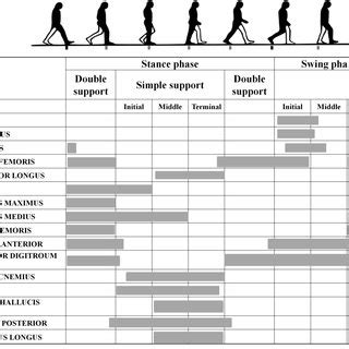 Pdf Normal Gait