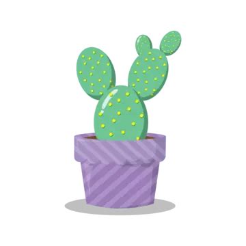 Green Colorful Bunny Ear Cactus Vector Illustration Cactus Bunny Ear