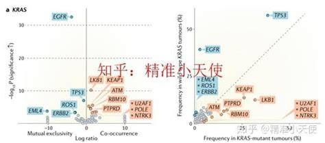 8 肺癌 在肺腺癌中kras共突变特点？ 知乎