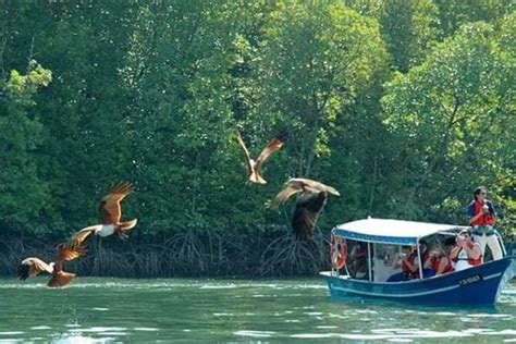 Kilim Geoforest Park Mangrove Private Boat Tour Langkawi