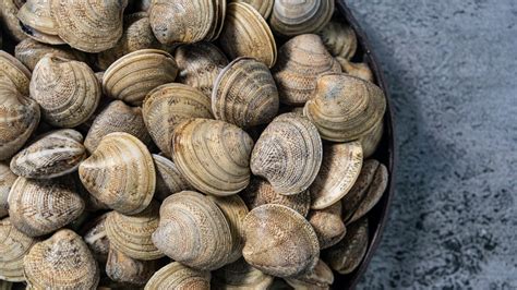 Qual è la differenza tra vongole e vongole veraci Agrodolce