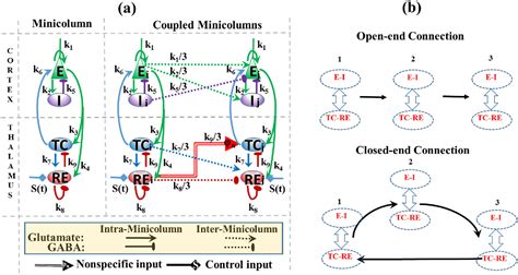 Figure From The Pacemaker Role Of Thalamic Reticular Nucleus In