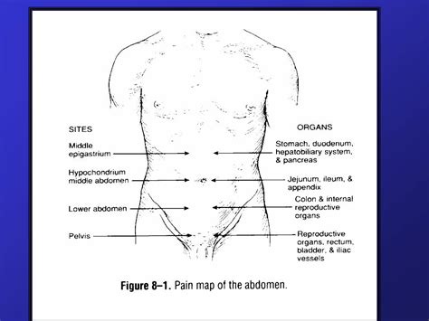 Pdf Abdome Agudo Inflamat Rio Cbcsp Org Br Exame F Sico Estado