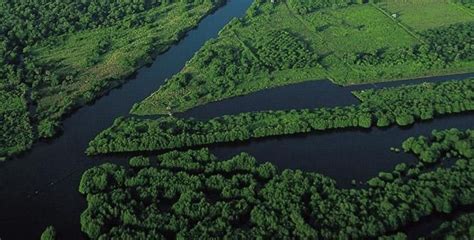 Aventura en la región del Soconusco en Chiapas México Desconocido