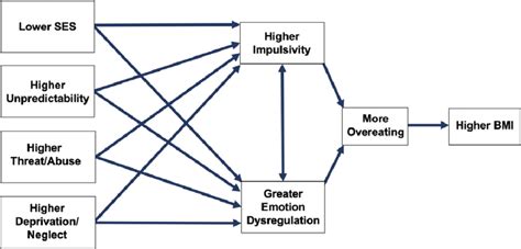 Conceptual Model Of Mediators Between Socioeconomic Status