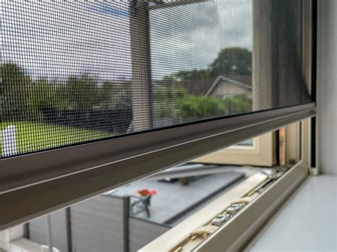 Countryside Insects: One Simple Fix for Northamptonshire Home