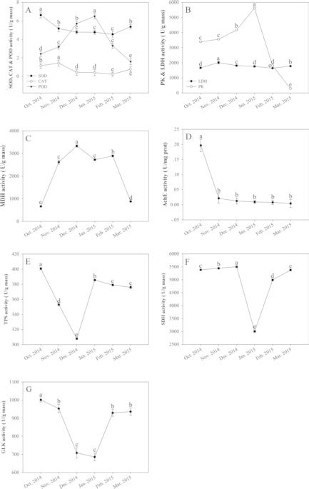 Changes Of Enzyme Activities Including SOD CAT POD PK LDH MDH