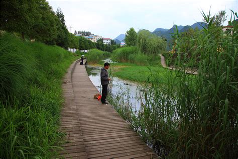 Minghu Wetland Park By Turenscape Landscape Architecture Platform