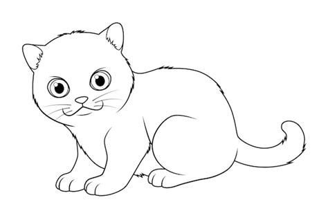 Pequeño gato británico de pelo corto dibujos animados animal