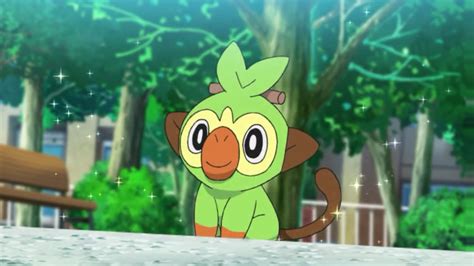 Goh's Grookey | Pokémon Wiki | Fandom