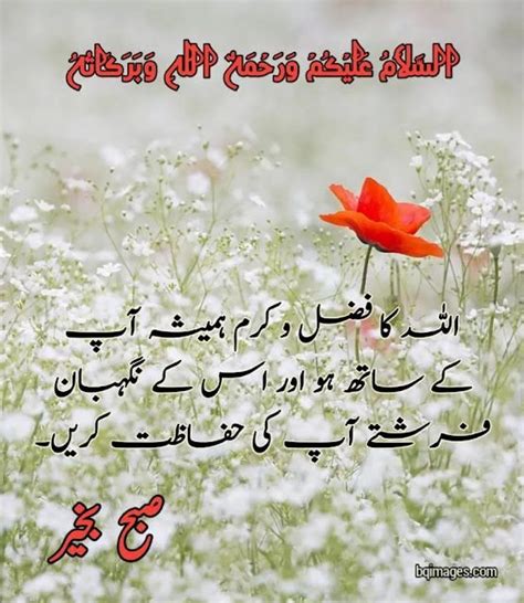 35 Beautiful Good Morning Images In Urdu