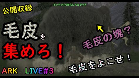 （ライブ配信）（ark Survival Evolved） Arkでフィヨルドるぞ！3 毛皮を集めて今年の冬をcoolに決めろ