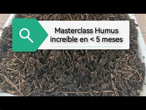 El Lombricero El Mejor Compost En Meses En Fases Sin Secretos