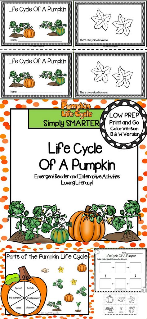 Life Cycle Of A Pumpkin Emergent Reader Book And Interactive Activities