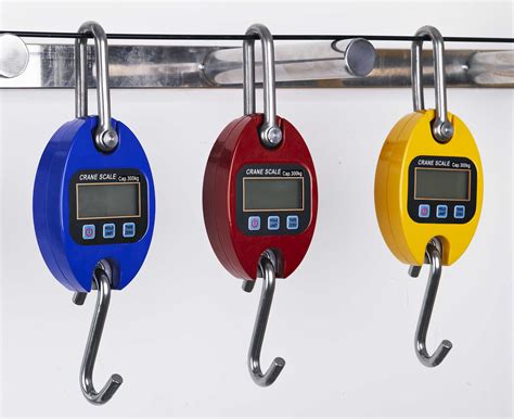 Kg Kg Kg Kg Industrial Mini Crane Weighing Luggage Scale