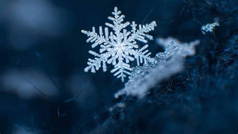 TIL that the world's largest snowflake ever recorded was 15 inches wide ...