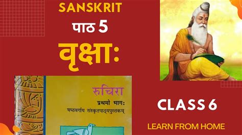 Ncert Sanskrit Class 6 Chapter 5 वृक्षाः Simple Explanation In Hindi Youtube