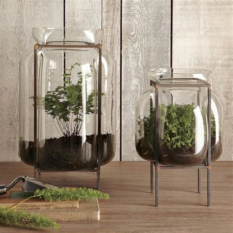 Original Glass Terrariums Celebrating Geometry And Natural Beauty Of Plants