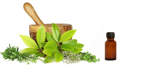 What Are The Combinations Of Herbs When Using Naturopathy