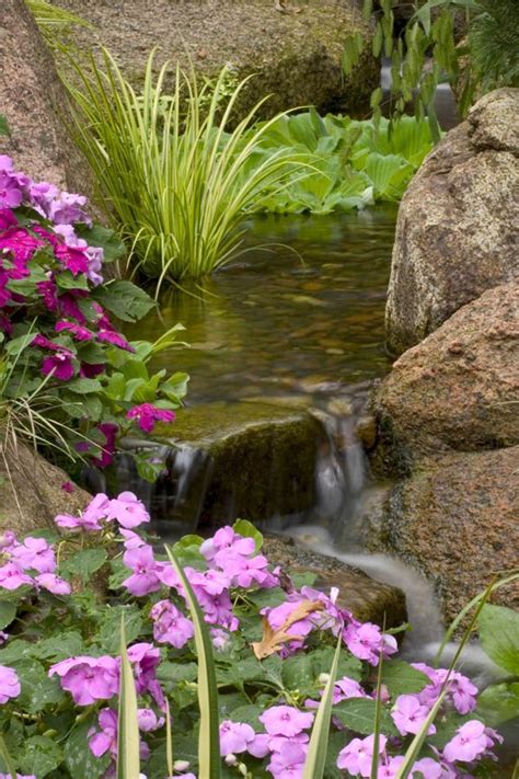 Small Plants For Small Ponds Pond Landscaping Backyard Water Feature