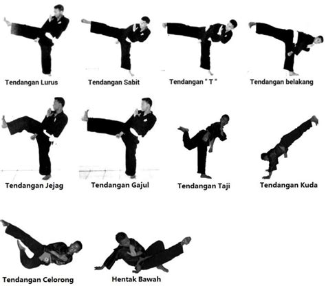 Learn Pencak Silat Techniques APK Download for Android - Latest Version