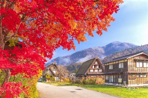 Nagoya Shirakawa Go Village And Takayama Unesco 1 Day Trip Getyourguide