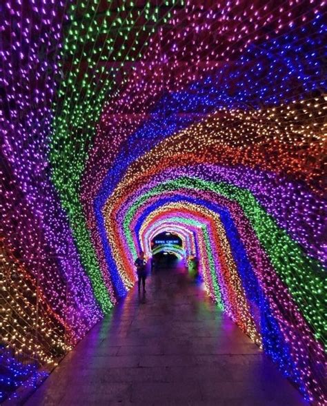 Christmas Lights Tunnel : r/woahdude