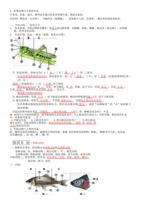 人教版生物八年级上册背诵知识点总结 21世纪教育网