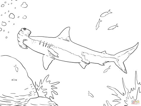 Coloriages Coloriage Dun Requin Marteau Porn Sex Picture