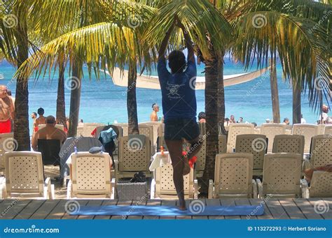 Beach Morning On Roatan Bay Islands Honduras Beautifull Woman Editorial