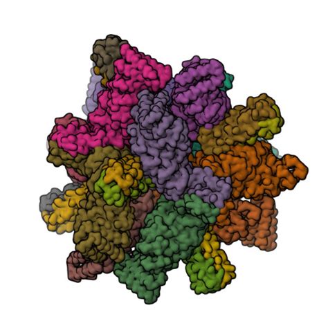 Rcsb Pdb 8cwy Accurate Computational Design Of Genetically Encoded