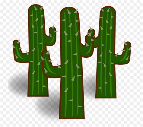 Cactaceae Conteúdo Grátis Saguaro png transparente grátis