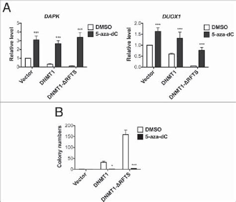 5 Aza Dc Treatment Reactivates Tsg Expression And Suppresses Download Scientific Diagram