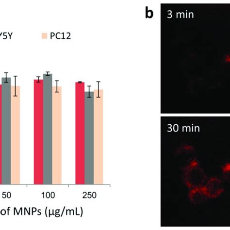 A Xtt Viability Assay Of T Sh Sy Y And Pc Cells Incubated With