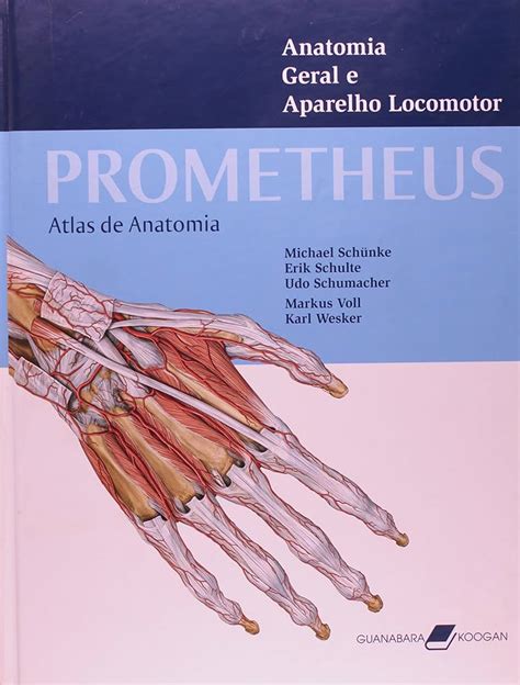 PROMETHEUS Texto Y Atlas De Anatomía Tomo 1 Anatomía