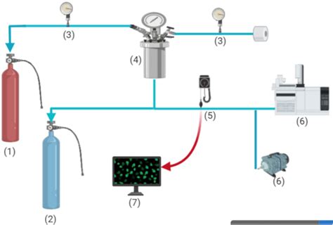 Schematics Of The Gas Separation Unit 1 And 2 Gas Cylinders 3