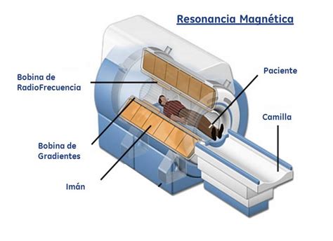 Resonancia Magnética Apuntes De Electromedicina Xavier Pardell