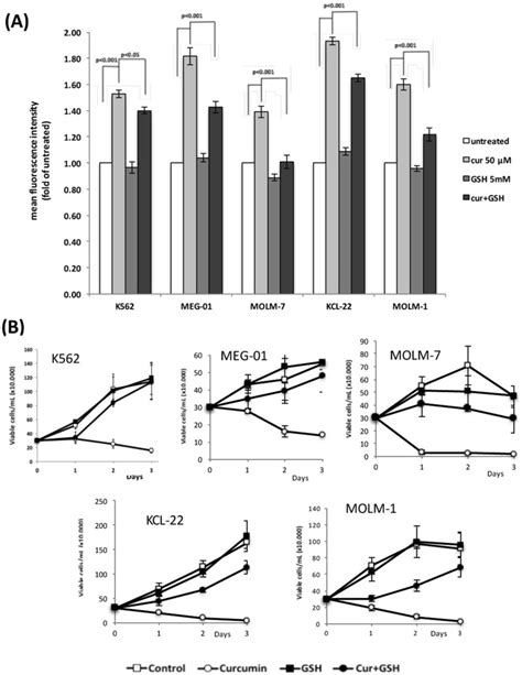 Curcumin Increases Intracellular ROS Levels To Inhibit Leukemic Cell