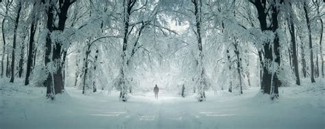 "Winter Panorama" Images – Browse 784 Stock Photos, Vectors, and Video ...